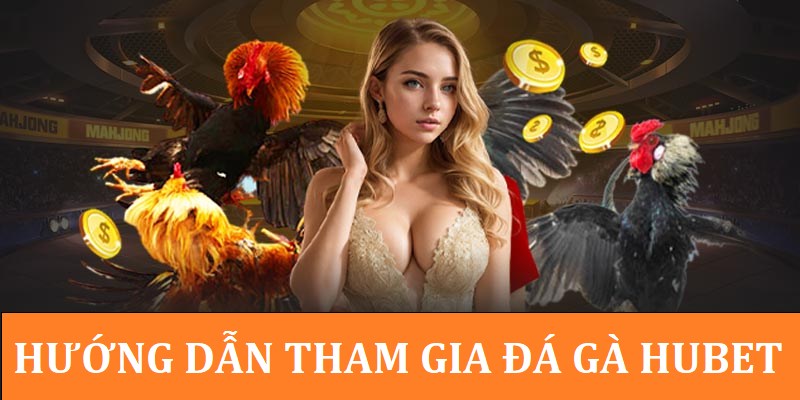 4 bước thao tác để tham gia đá gà Hubet